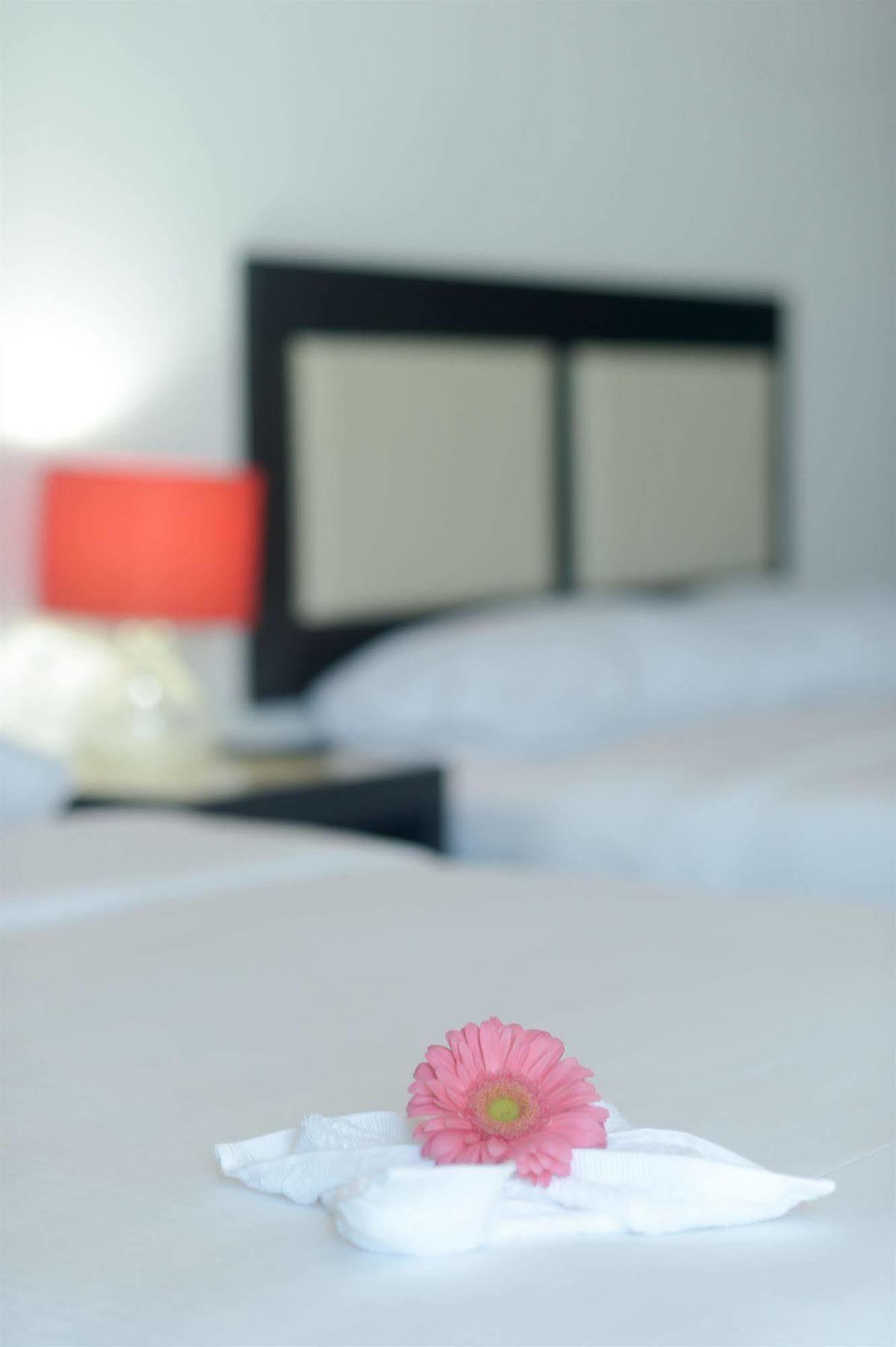 Sunrise 42 Suites Hotel ปลายาเดลการ์เมน ภายนอก รูปภาพ